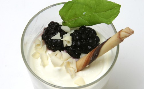 Pannacotta med vaniljyoghurt
