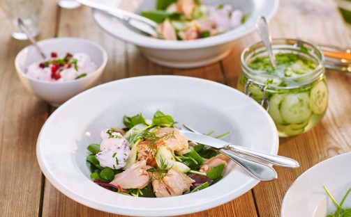 Sallad med varmrökt lax med lingonyoghurt och pressgurka