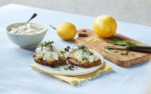 Ramslökssill, med sill eller svamp